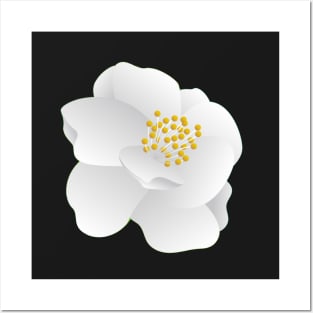 Beautiful White Jasmine Flower Posters and Art